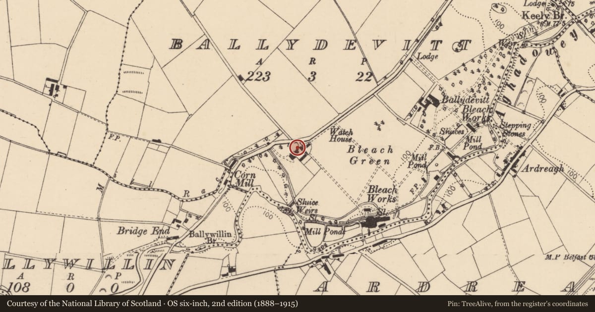 Ordnance Survey six-inch map, 2nd edition (1888–1915) covering the location of Ballydevitt House, Causeway Coast and Glens, with a pin at the register's coordinates