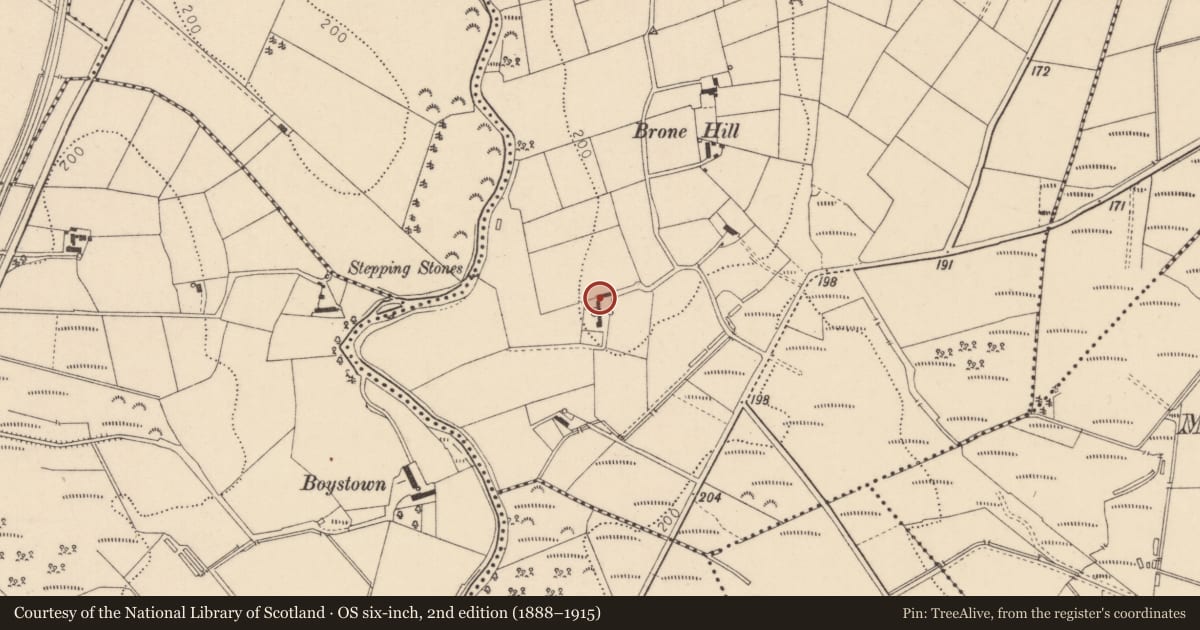 Ordnance Survey six-inch map, 2nd edition (1888–1915) covering the location of Brone Park, Mullinabrone, Causeway Coast and Glens, with a pin at the register's coordinates