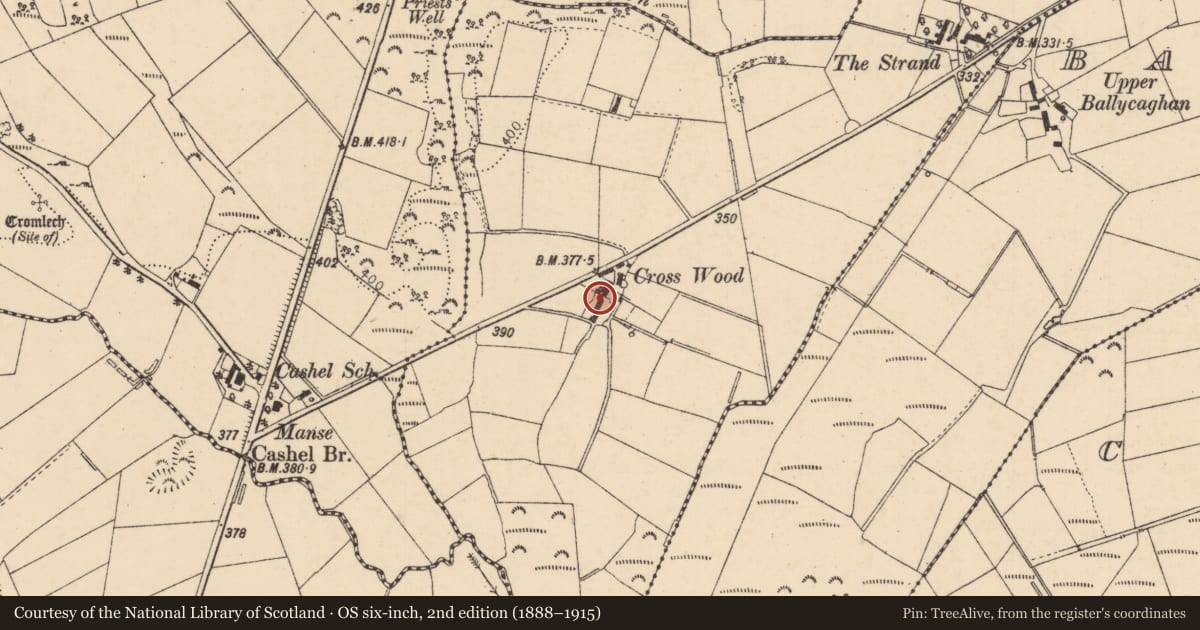Ordnance Survey six-inch map, 2nd edition (1888–1915) covering the location of 106 Kinneyglass Riad, Causeway Coast and Glens, with a pin at the register's coordinates