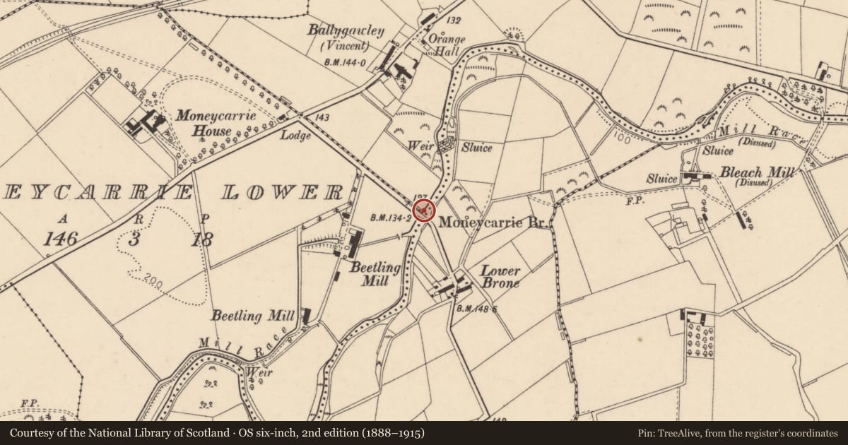 Ordnance Survey six-inch map, 2nd edition (1888–1915) covering the location of Moneycarrie Bridge, Ballygawley Moneycarrie Lower Mullinabrone, Causeway Coast and Glens, with a pin at the register's coordinates