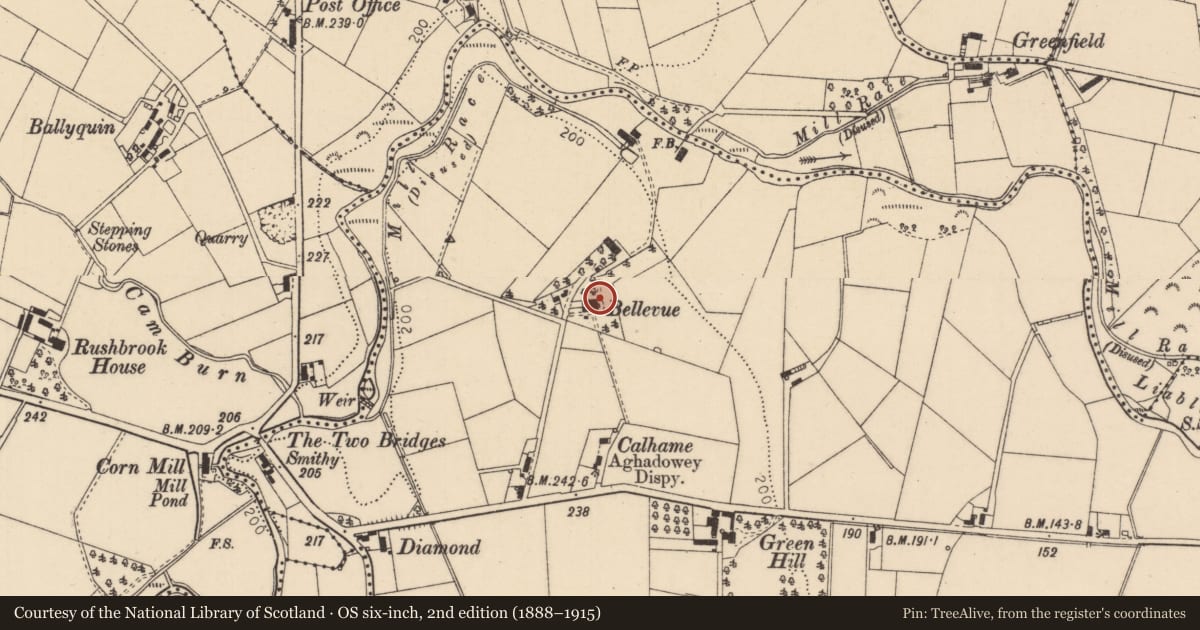 Ordnance Survey six-inch map, 2nd edition (1888–1915) covering the location of Bellevue, Aghadowey, Causeway Coast and Glens, with a pin at the register's coordinates