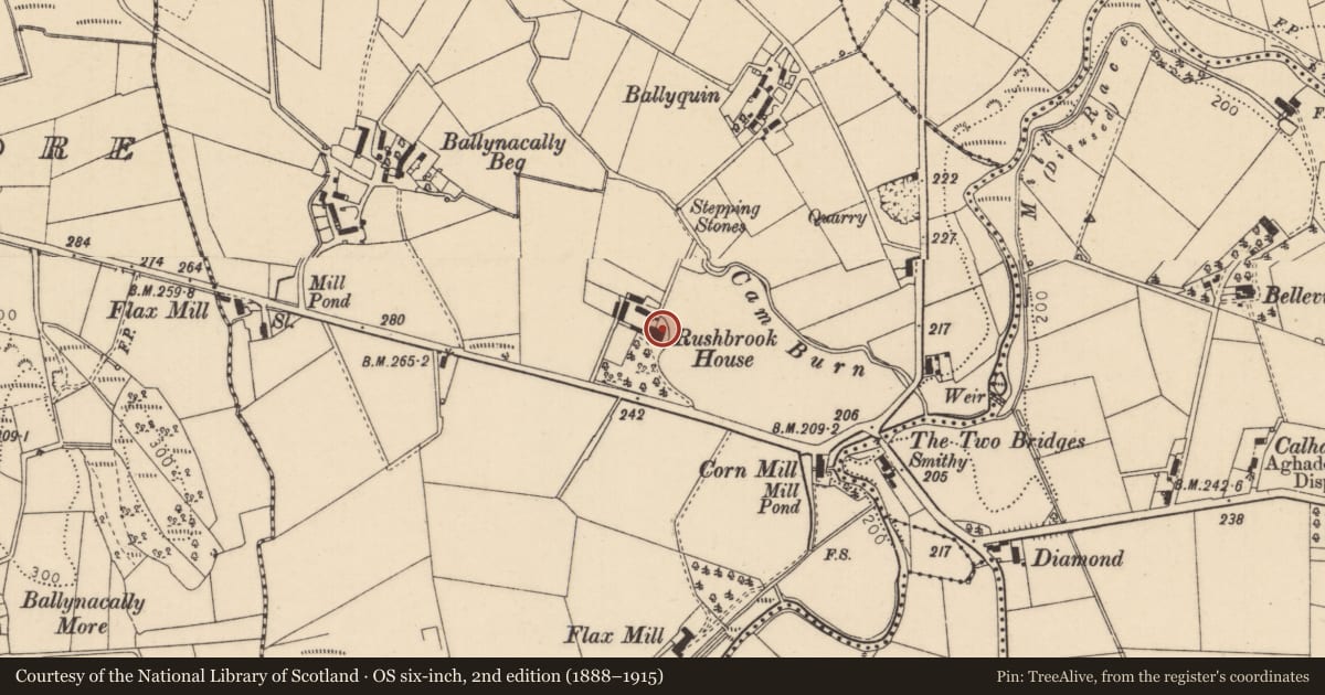 Ordnance Survey six-inch map, 2nd edition (1888–1915) covering the location of Rushbrook House, Ballynacally Beg, Causeway Coast and Glens, with a pin at the register's coordinates
