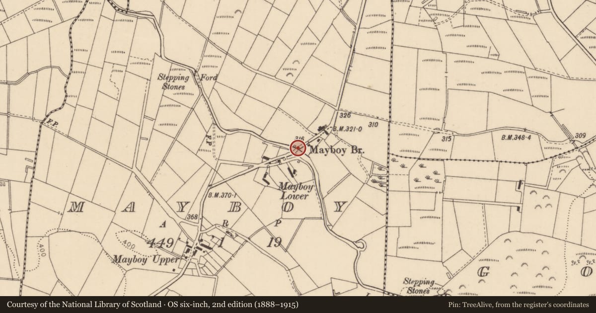 Ordnance Survey six-inch map, 2nd edition (1888–1915) covering the location of Mayboy Bridge, Causeway Coast and Glens, with a pin at the register's coordinates