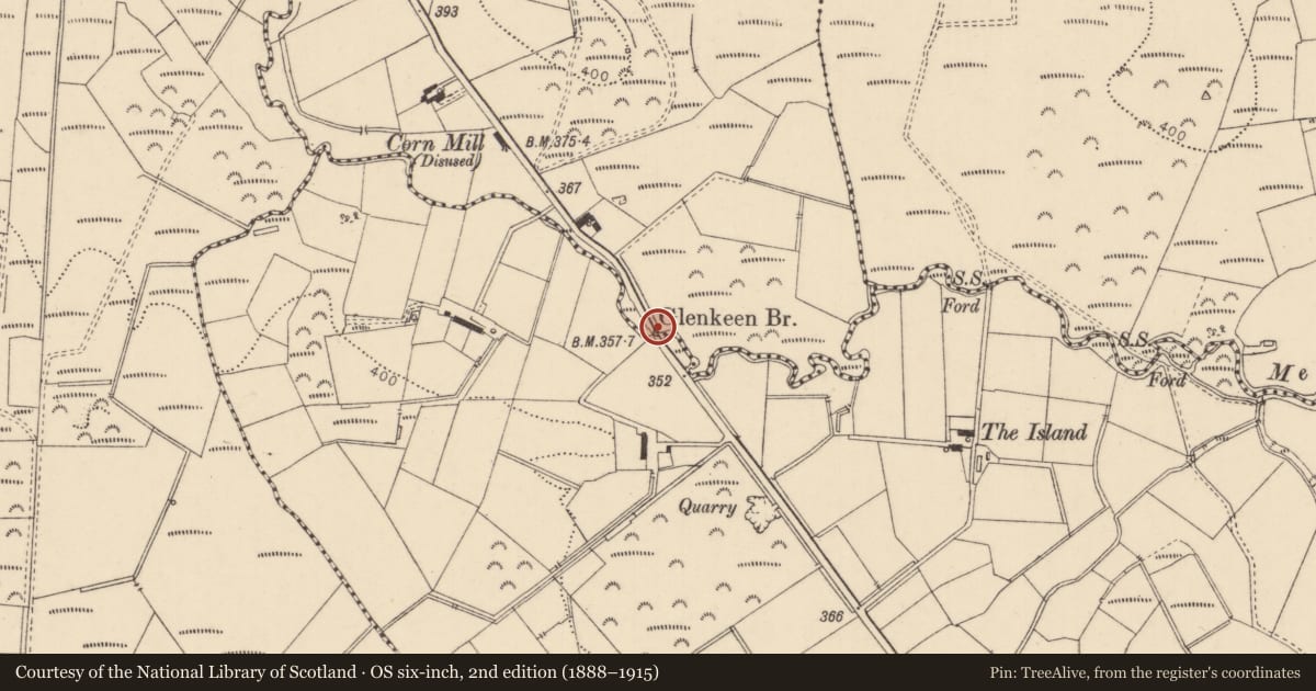 Ordnance Survey six-inch map, 2nd edition (1888–1915) covering the location of Glenkeen Bridge, Glenkeen/Tamnymore, Causeway Coast and Glens, with a pin at the register's coordinates
