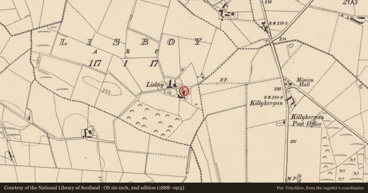 Ordnance Survey six-inch map, 2nd edition (1888–1915) covering the location of 12 Lisboy Lane, Causeway Coast and Glens, with a pin at the register's coordinates