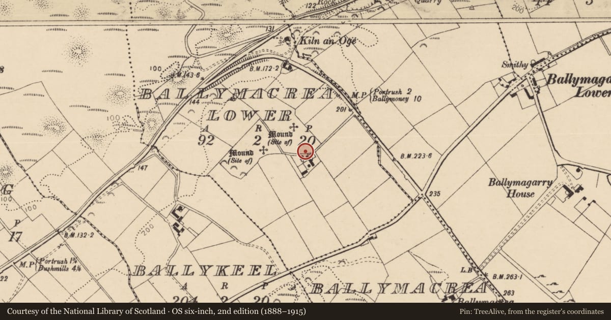 Ordnance Survey six-inch map, 2nd edition (1888–1915) covering the location of 232 Ballybogey Road, Ballymacrea Lower, Causeway Coast and Glens, with a pin at the register's coordinates