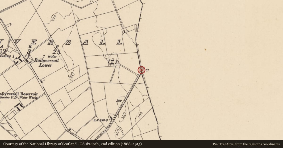 Ordnance Survey six-inch map, 2nd edition (1888–1915) covering the location of County Boundary Stone, 30 Rectory Road, Ballyversal, Coleraine, Co Londonderry BT52 2LA, Causeway Coast and Glens, with a pin at the register's coordinates