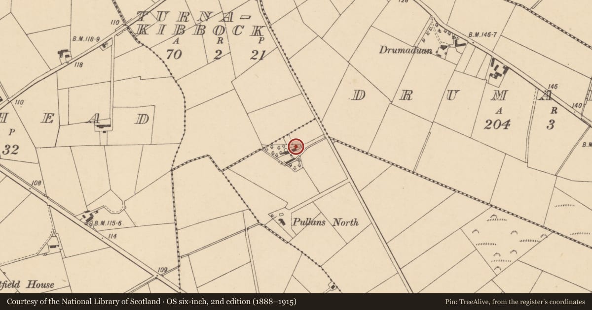 Ordnance Survey six-inch map, 2nd edition (1888–1915) covering the location of 11 Pullans Road, Pullans North, Causeway Coast and Glens, with a pin at the register's coordinates