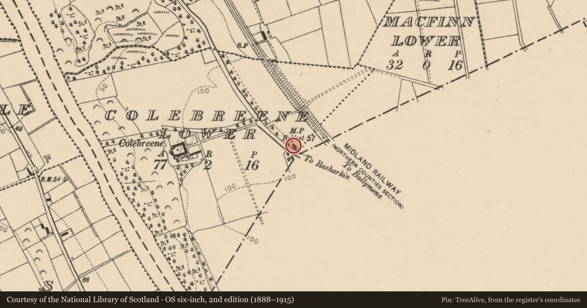 Ordnance Survey six-inch map, 2nd edition (1888–1915) covering the location of County Boundary Stone, 264 Loughan Road, Colebreene, Coleraine, BT52 1UD, Colerbreene Lower, Causeway Coast and Glens, with a pin at the register's coordinates