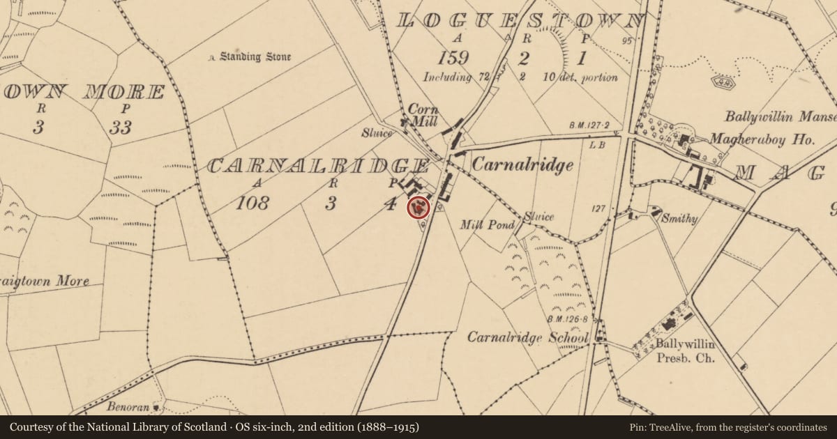 Ordnance Survey six-inch map, 2nd edition (1888–1915) covering the location of Wayside Cottage, Carnalridge, Causeway Coast and Glens, with a pin at the register's coordinates