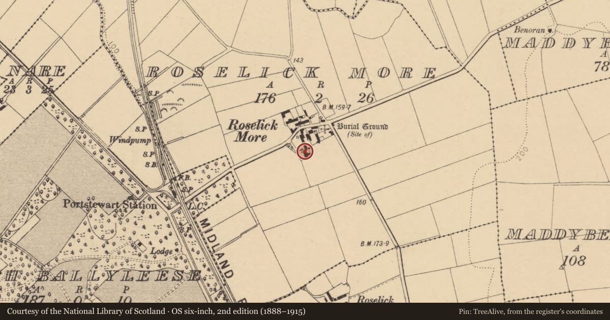 Ordnance Survey six-inch map, 2nd edition (1888–1915) covering the location of Roselick House, Causeway Coast and Glens, with a pin at the register's coordinates