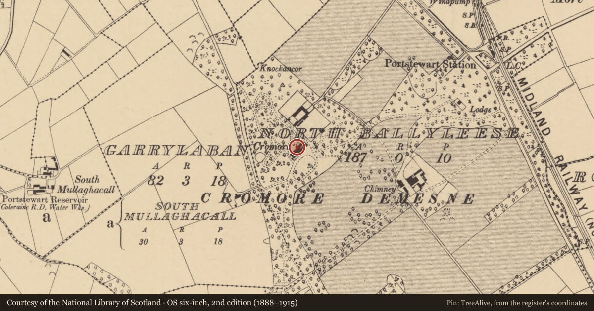 Ordnance Survey six-inch map, 2nd edition (1888–1915) covering the location of Cromore House, Ballyleese North, Causeway Coast and Glens, with a pin at the register's coordinates