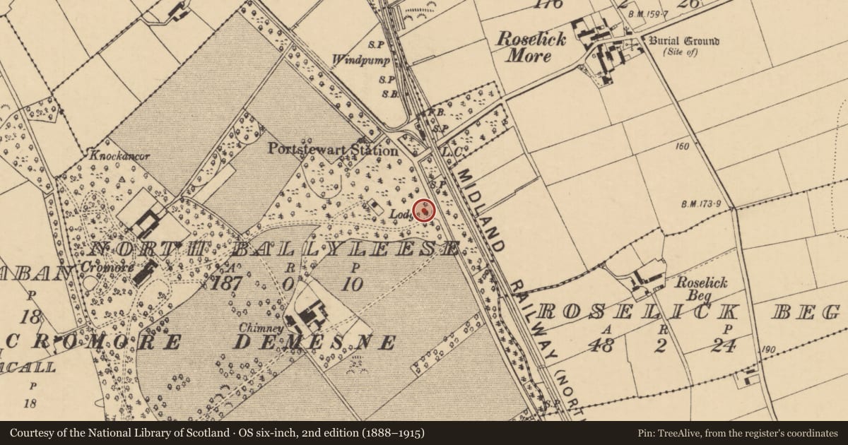 Ordnance Survey six-inch map, 2nd edition (1888–1915) covering the location of Cromore Lodge, Ballyleese North, Causeway Coast and Glens, with a pin at the register's coordinates