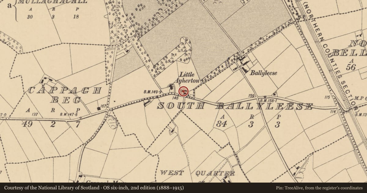 Ordnance Survey six-inch map, 2nd edition (1888–1915) covering the location of 22 Agherton Road, Ballyleese North, Causeway Coast and Glens, with a pin at the register's coordinates