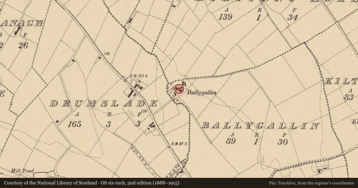 Ordnance Survey six-inch map, 2nd edition (1888–1915) covering the location of Ballygallin House, Causeway Coast and Glens, with a pin at the register's coordinates
