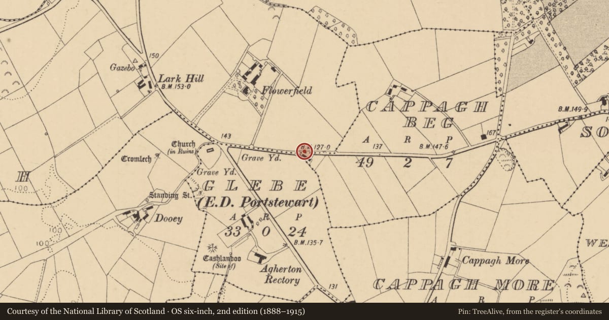 Ordnance Survey six-inch map, 2nd edition (1888–1915) covering the location of Coppagh Beg, Causeway Coast and Glens, with a pin at the register's coordinates