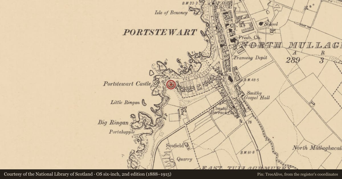 Ordnance Survey six-inch map, 2nd edition (1888–1915) covering the location of St Mary's Dominican Convent, West Tullaghmurry, Causeway Coast and Glens, with a pin at the register's coordinates