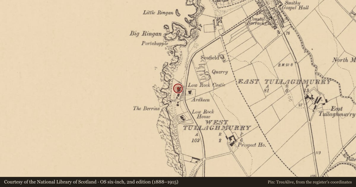 Ordnance Survey six-inch map, 2nd edition (1888–1915) covering the location of Rock Castle, West Tullaghmurry, Causeway Coast and Glens, with a pin at the register's coordinates