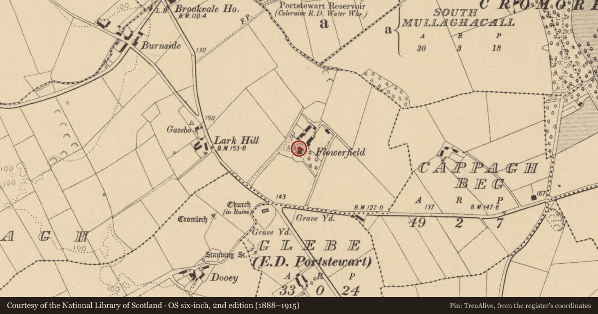 Ordnance Survey six-inch map, 2nd edition (1888–1915) covering the location of Flowerfield House, East Crossreagh, Causeway Coast and Glens, with a pin at the register's coordinates