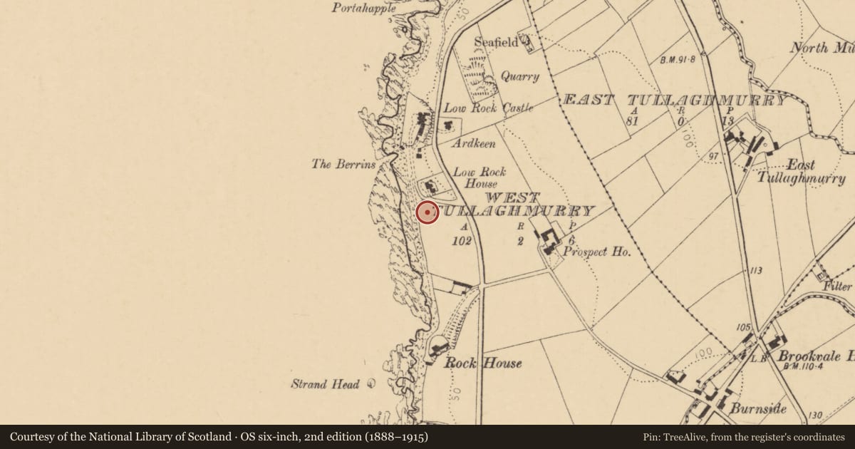 Ordnance Survey six-inch map, 2nd edition (1888–1915) covering the location of Rock Cottage, Causeway Coast and Glens, with a pin at the register's coordinates