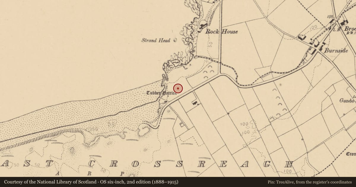 Ordnance Survey six-inch map, 2nd edition (1888–1915) covering the location of 108 Strand Road, East Crossreagh, Causeway Coast and Glens, with a pin at the register's coordinates