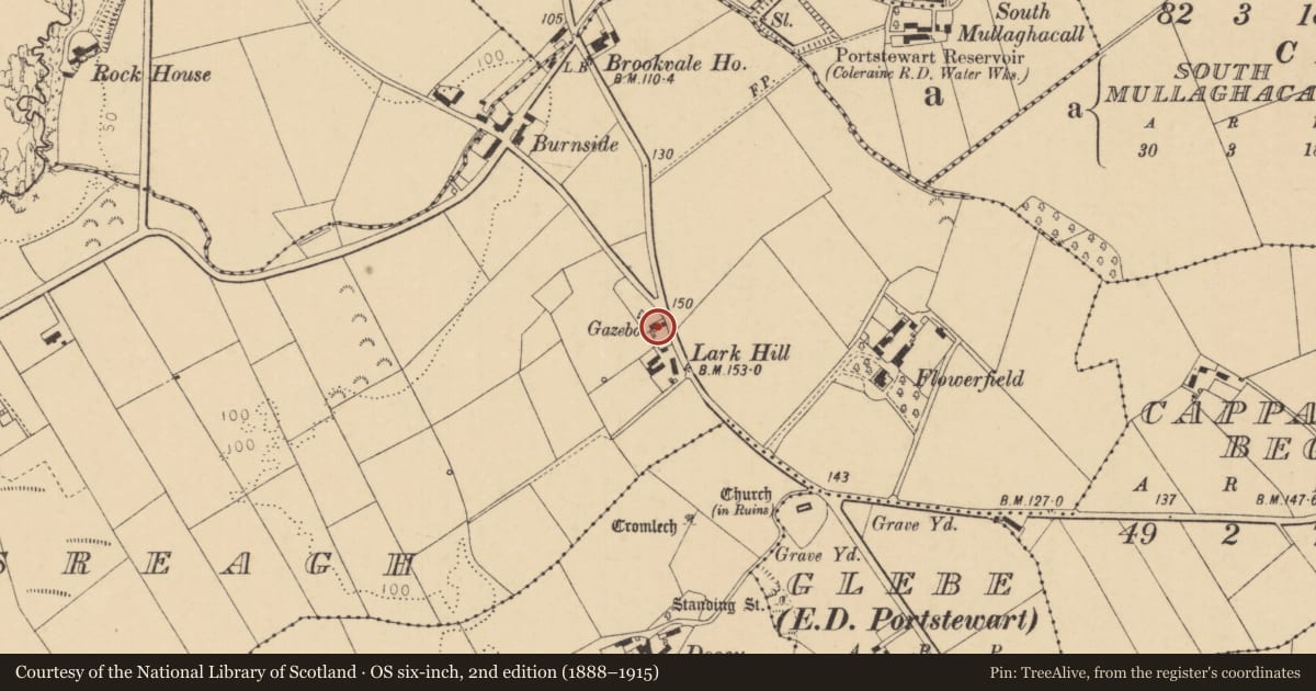 Ordnance Survey six-inch map, 2nd edition (1888–1915) covering the location of Yellowstone, Causeway Coast and Glens, with a pin at the register's coordinates