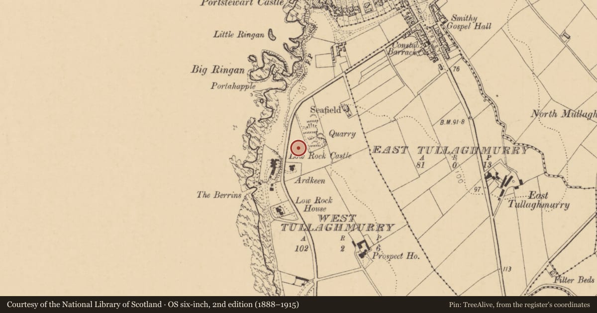 Ordnance Survey six-inch map, 2nd edition (1888–1915) covering the location of 51 and 53 Strand Road, Causeway Coast and Glens, with a pin at the register's coordinates