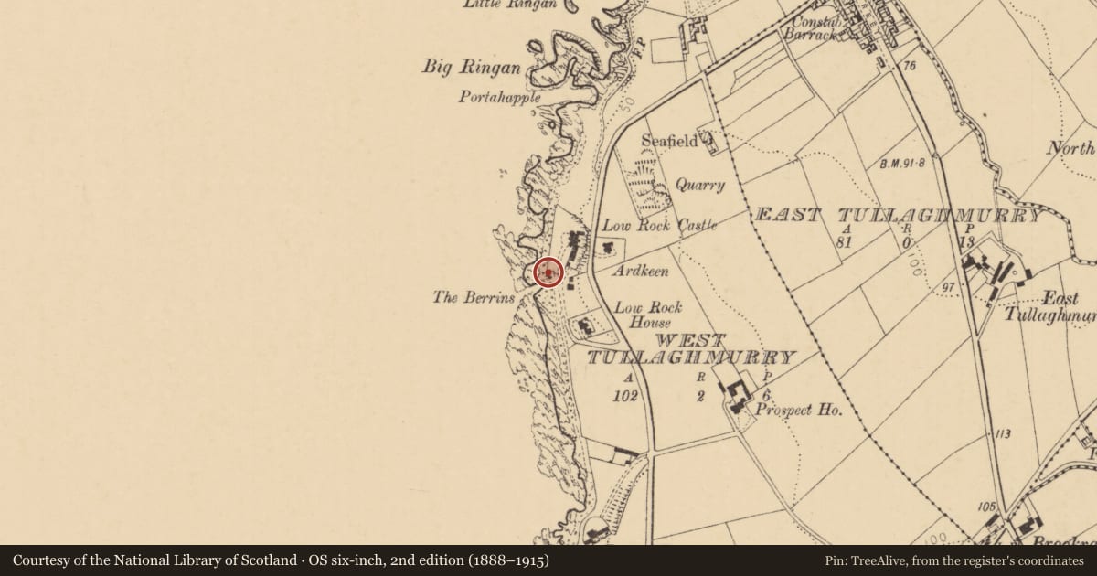 Ordnance Survey six-inch map, 2nd edition (1888–1915) covering the location of 'House', West Tullaghmurry, Causeway Coast and Glens, with a pin at the register's coordinates