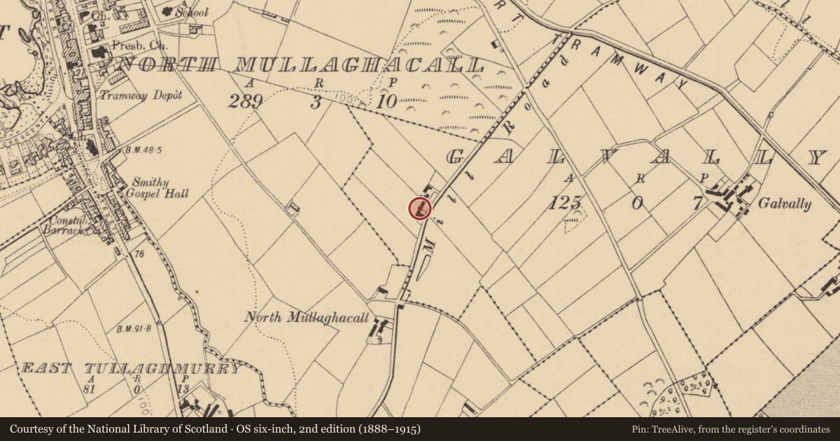Ordnance Survey six-inch map, 2nd edition (1888–1915) covering the location of 95 Mill Road, Galvally, Causeway Coast and Glens, with a pin at the register's coordinates