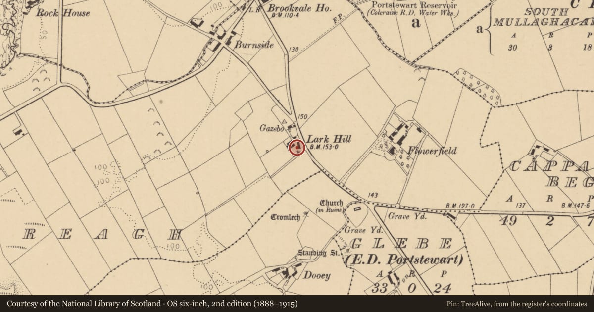Ordnance Survey six-inch map, 2nd edition (1888–1915) covering the location of 5 Old Coleraine Road, East Crossreagh, Causeway Coast and Glens, with a pin at the register's coordinates