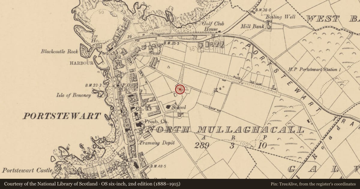 Ordnance Survey six-inch map, 2nd edition (1888–1915) covering the location of Portstewart Primary School, North Mullaghacall, Causeway Coast and Glens, with a pin at the register's coordinates