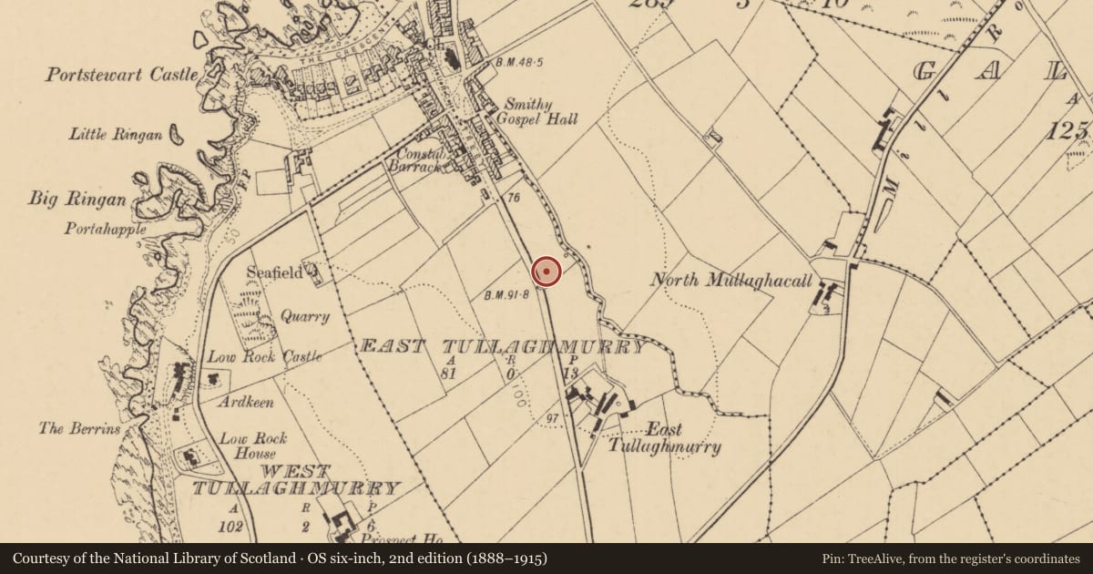 Ordnance Survey six-inch map, 2nd edition (1888–1915) covering the location of Former RUC Station, Tullaghmurry East, Causeway Coast and Glens, with a pin at the register's coordinates