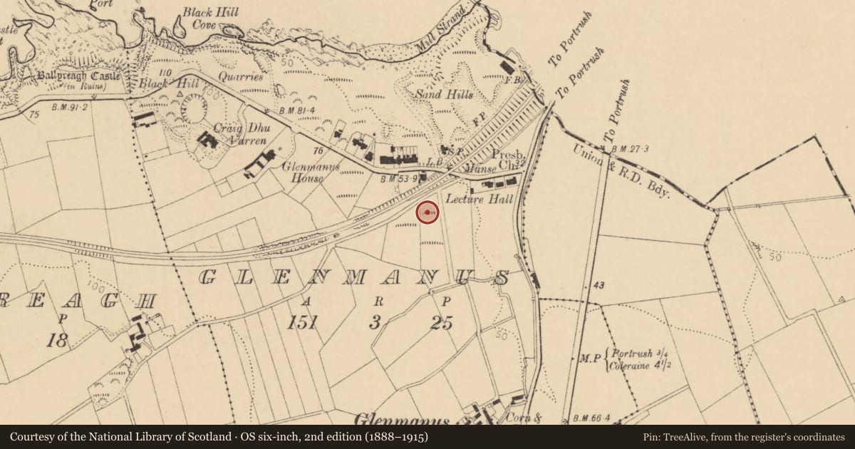 Ordnance Survey six-inch map, 2nd edition (1888–1915) covering the location of 7 Dhu Varren Park, Glenmanus, Causeway Coast and Glens, with a pin at the register's coordinates