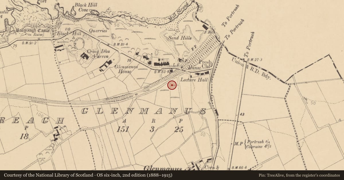 Ordnance Survey six-inch map, 2nd edition (1888–1915) covering the location of 8 Dhu Varren Park, Glenmanus, Causeway Coast and Glens, with a pin at the register's coordinates