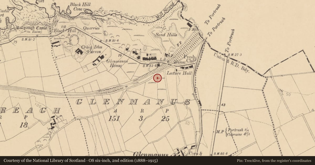 Ordnance Survey six-inch map, 2nd edition (1888–1915) covering the location of 9 Dhu Varren Park, Glenmanus, Causeway Coast and Glens, with a pin at the register's coordinates