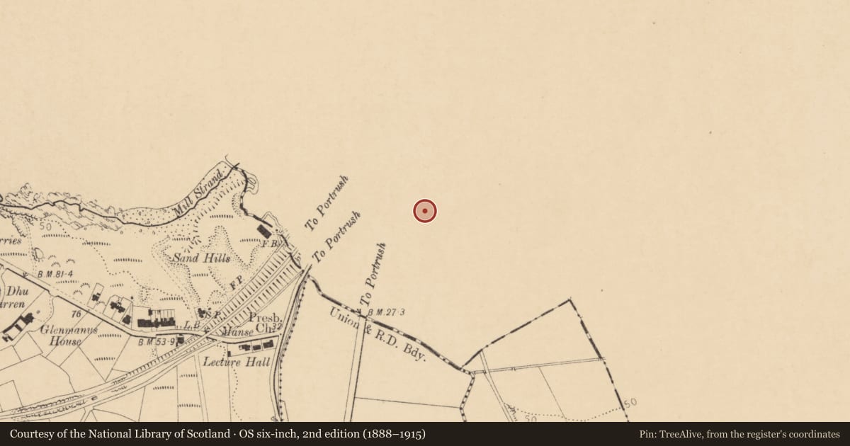 Ordnance Survey six-inch map, 2nd edition (1888–1915) covering the location of 2 Hopefield Avenue, Portrush, Causeway Coast and Glens, with a pin at the register's coordinates