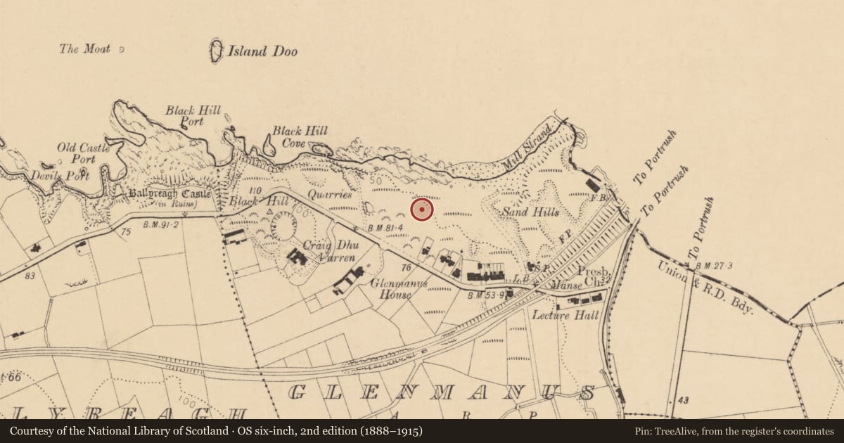 Ordnance Survey six-inch map, 2nd edition (1888–1915) covering the location of 10b Blackrock Road, Glenmanus, Causeway Coast and Glens, with a pin at the register's coordinates