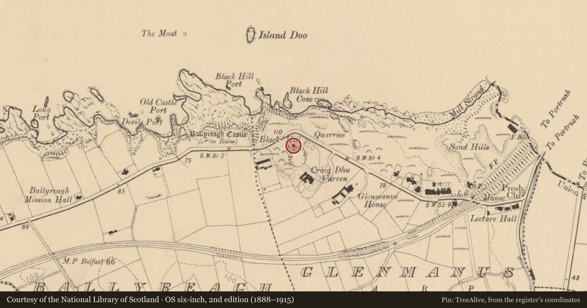 Ordnance Survey six-inch map, 2nd edition (1888–1915) covering the location of 61 Dhu Varren, Glenmanus, Causeway Coast and Glens, with a pin at the register's coordinates