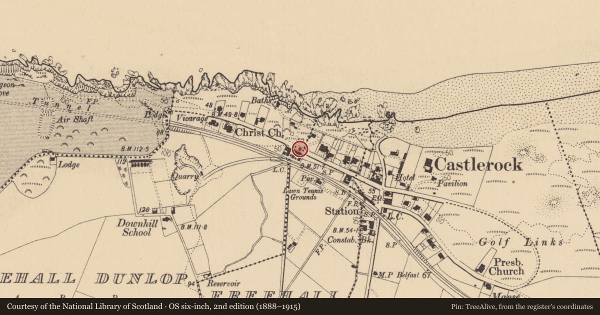 Ordnance Survey six-inch map, 2nd edition (1888–1915) covering the location of 1 Babington Terrace (And Garden Wall), Freehall Watson, Causeway Coast and Glens, with a pin at the register's coordinates