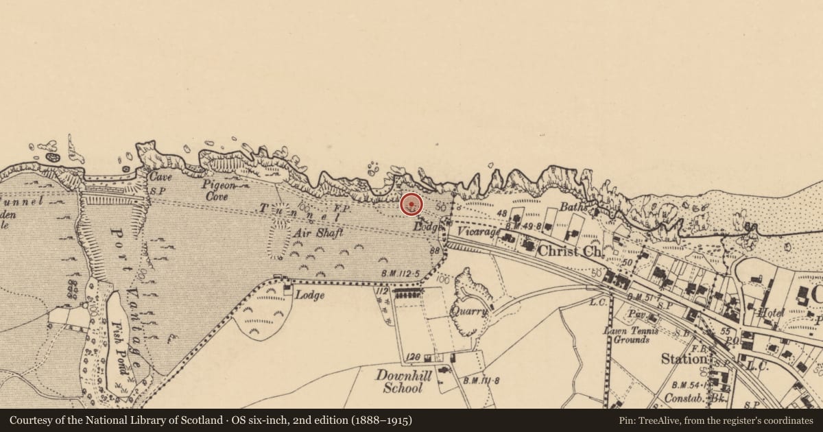 Ordnance Survey six-inch map, 2nd edition (1888–1915) covering the location of Lodge, Causeway Coast and Glens, with a pin at the register's coordinates