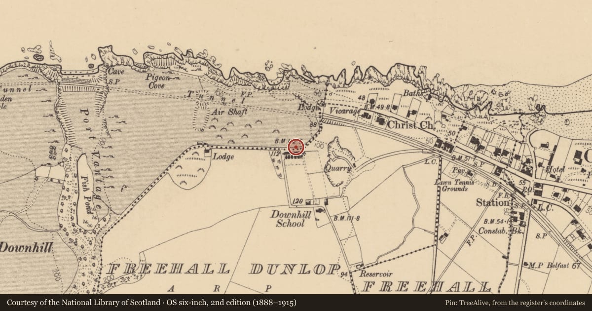 Ordnance Survey six-inch map, 2nd edition (1888–1915) covering the location of 4 Cliff Terrace, Freehall Dunlop, Causeway Coast and Glens, with a pin at the register's coordinates