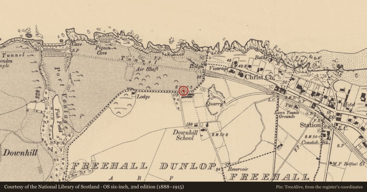 Ordnance Survey six-inch map, 2nd edition (1888–1915) covering the location of 9 Cliff Terrace, Freehall Dunlop, Causeway Coast and Glens, with a pin at the register's coordinates
