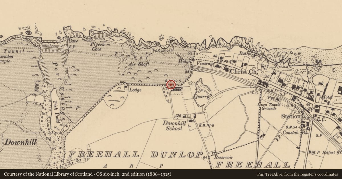 Ordnance Survey six-inch map, 2nd edition (1888–1915) covering the location of 11 Cliff Terrace, Freehall Dunlop, Causeway Coast and Glens, with a pin at the register's coordinates