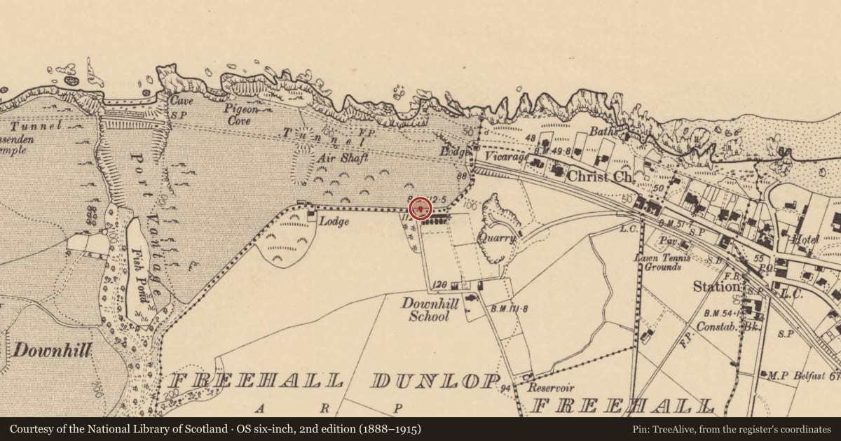 Ordnance Survey six-inch map, 2nd edition (1888–1915) covering the location of 12 Cliff Terrace, Freehall Dunlop, Causeway Coast and Glens, with a pin at the register's coordinates