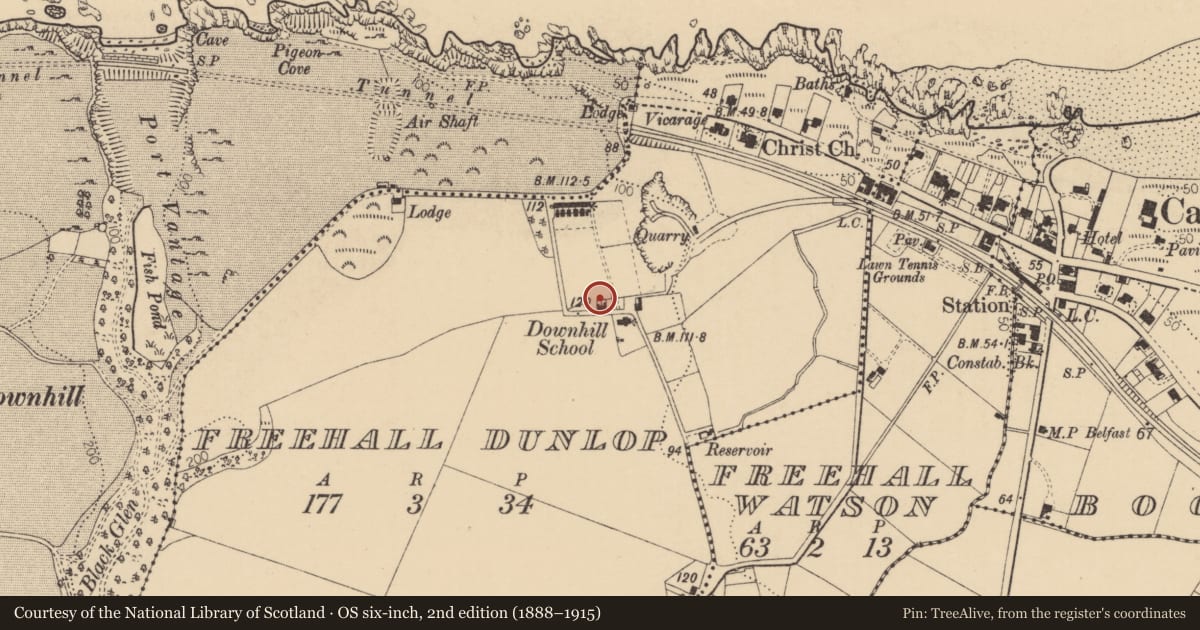 Ordnance Survey six-inch map, 2nd edition (1888–1915) covering the location of 14 School Lane, Freehall Dunlop, Causeway Coast and Glens, with a pin at the register's coordinates