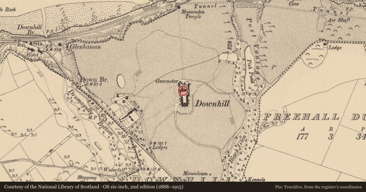 Ordnance Survey six-inch map, 2nd edition (1888–1915) covering the location of Downhill Palace, Causeway Coast and Glens, with a pin at the register's coordinates
