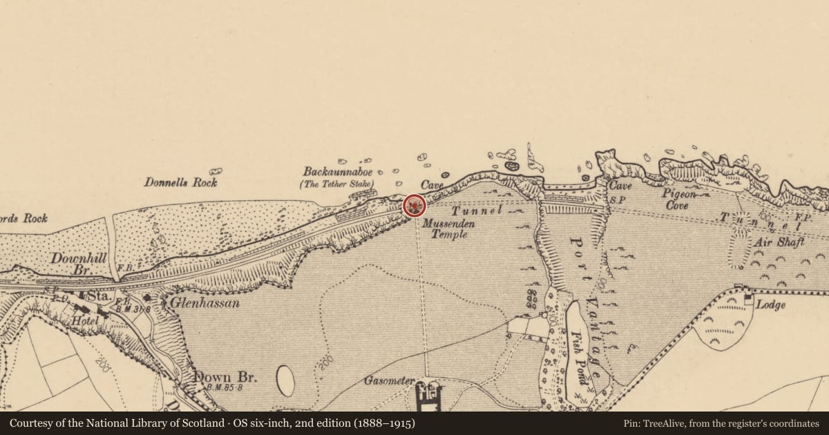 Ordnance Survey six-inch map, 2nd edition (1888–1915) covering the location of Mussenden Temple, Downhill, Causeway Coast and Glens, with a pin at the register's coordinates