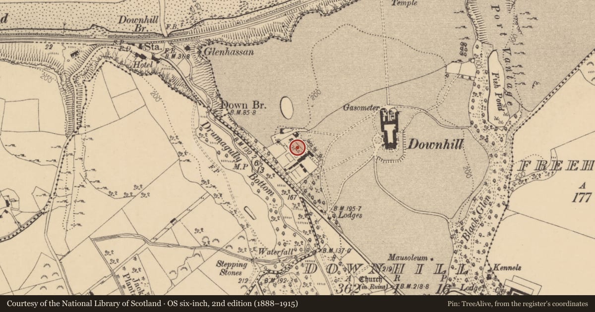 Ordnance Survey six-inch map, 2nd edition (1888–1915) covering the location of Walled Garden & Dovecote/Ice-house, Downhill, Causeway Coast and Glens, with a pin at the register's coordinates