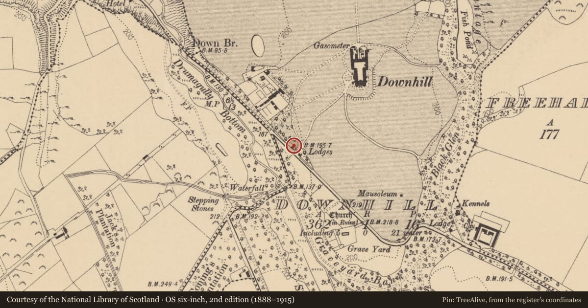 Ordnance Survey six-inch map, 2nd edition (1888–1915) covering the location of Lion Gate Lodge, Downhill, Causeway Coast and Glens, with a pin at the register's coordinates