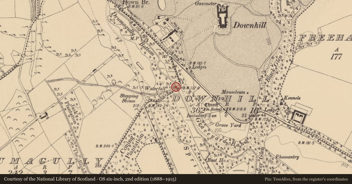 Ordnance Survey six-inch map, 2nd edition (1888–1915) covering the location of Drumagully Bridge, Downhill/Drumagully, Causeway Coast and Glens, with a pin at the register's coordinates